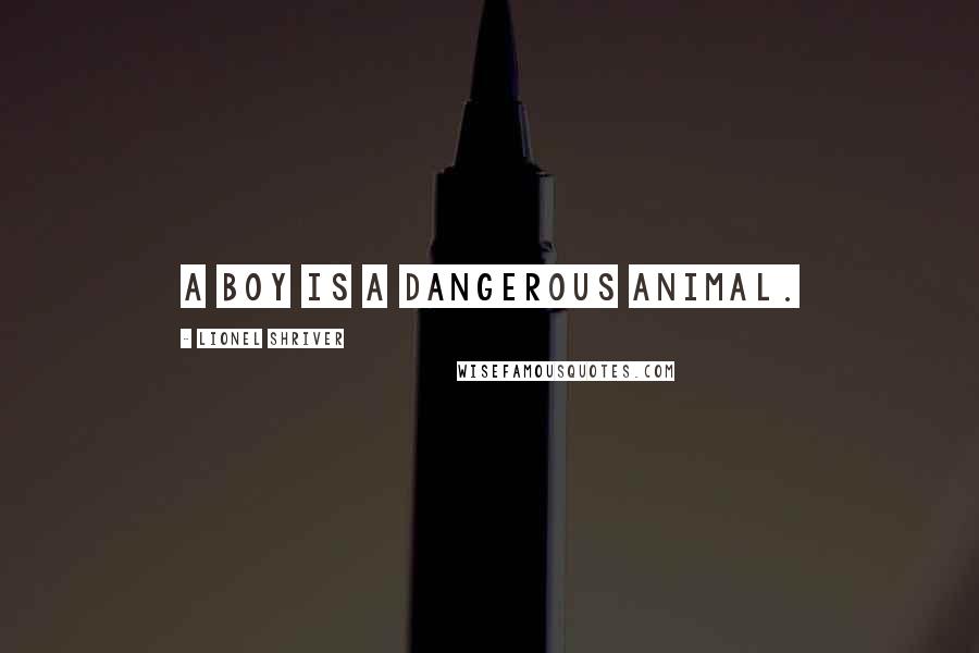 Lionel Shriver Quotes: A boy is a dangerous animal.