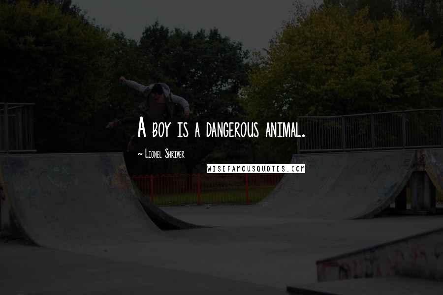 Lionel Shriver Quotes: A boy is a dangerous animal.