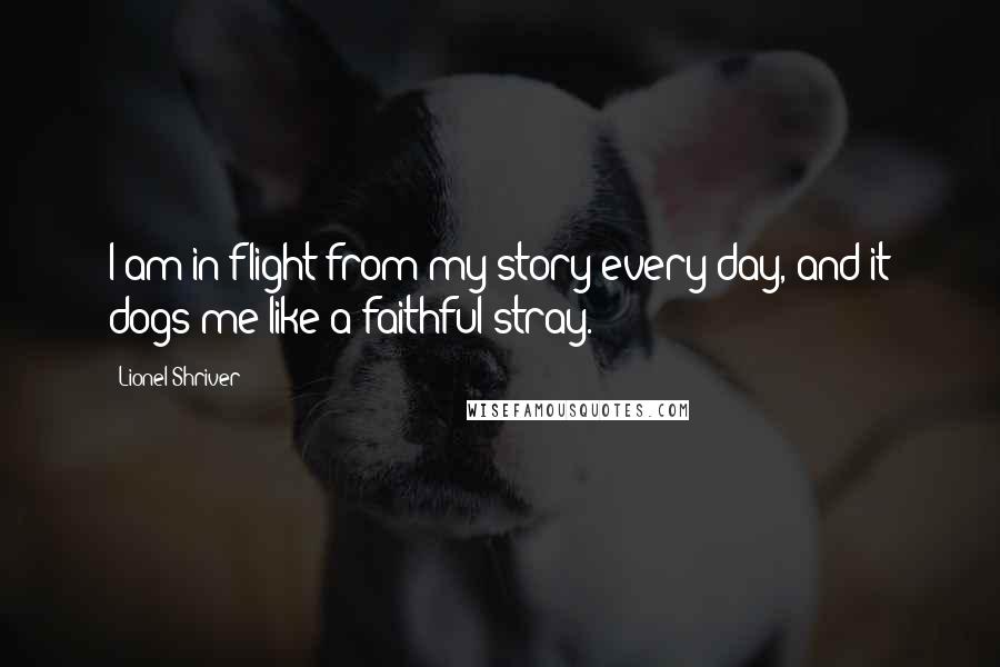 Lionel Shriver Quotes: I am in flight from my story every day, and it dogs me like a faithful stray.