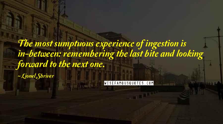 Lionel Shriver Quotes: The most sumptuous experience of ingestion is in-between: remembering the last bite and looking forward to the next one.