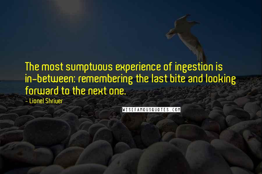 Lionel Shriver Quotes: The most sumptuous experience of ingestion is in-between: remembering the last bite and looking forward to the next one.