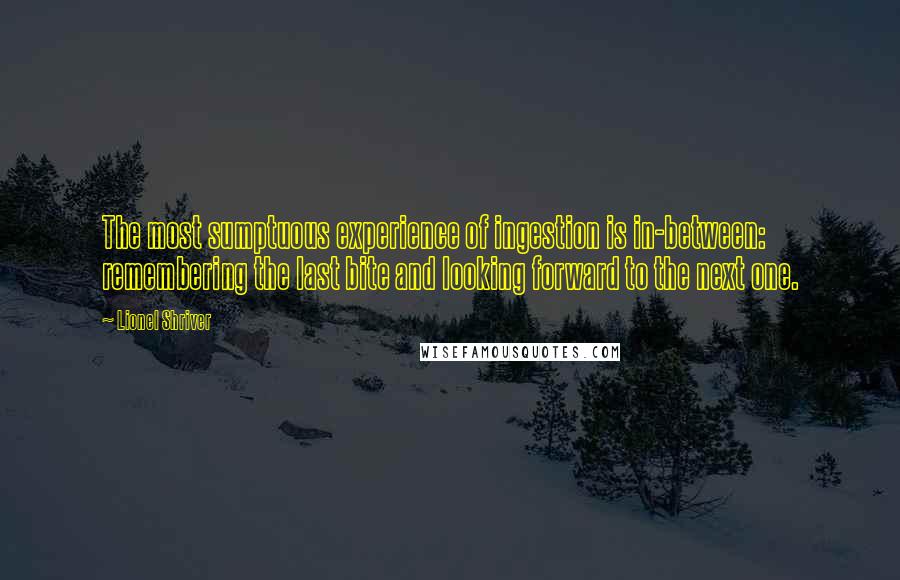Lionel Shriver Quotes: The most sumptuous experience of ingestion is in-between: remembering the last bite and looking forward to the next one.