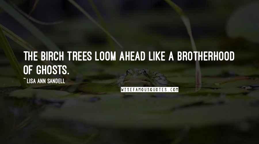 Lisa Ann Sandell Quotes: The birch trees loom ahead like a brotherhood of ghosts.