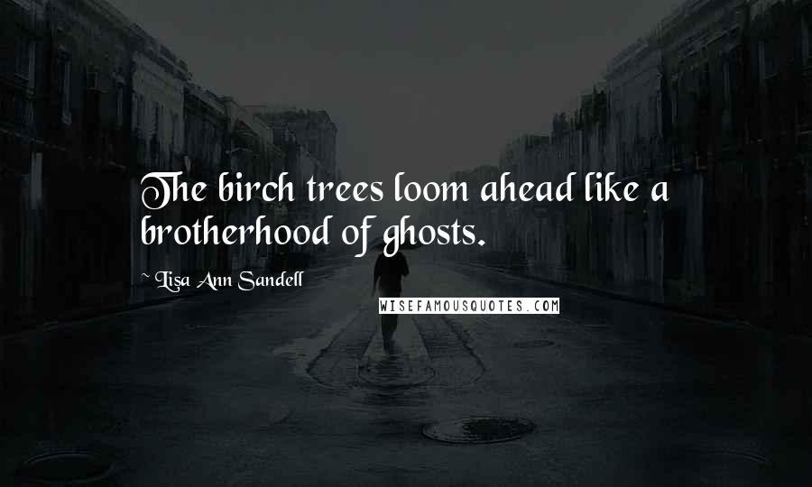 Lisa Ann Sandell Quotes: The birch trees loom ahead like a brotherhood of ghosts.