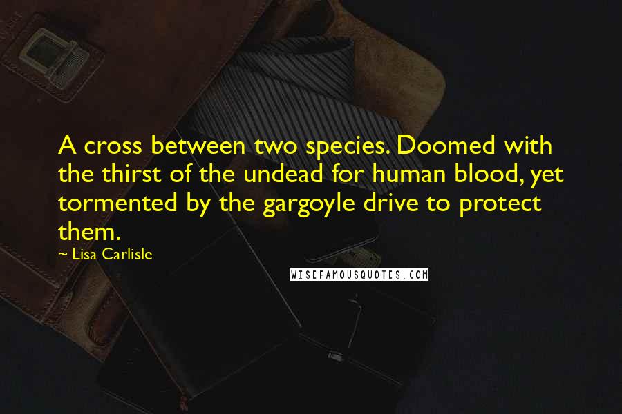 Lisa Carlisle Quotes: A cross between two species. Doomed with the thirst of the undead for human blood, yet tormented by the gargoyle drive to protect them.