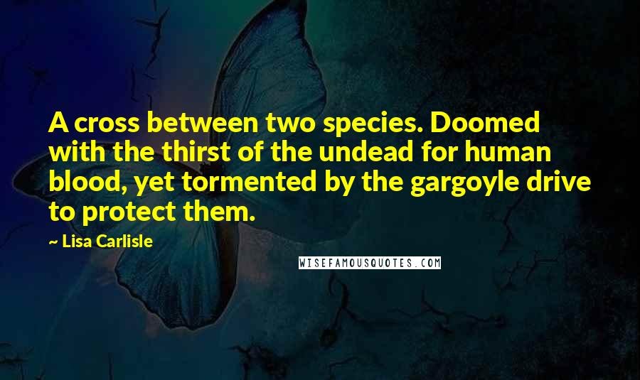 Lisa Carlisle Quotes: A cross between two species. Doomed with the thirst of the undead for human blood, yet tormented by the gargoyle drive to protect them.