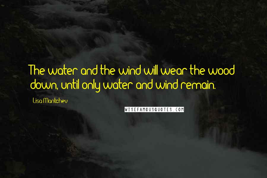 Lisa Mantchev Quotes: The water and the wind will wear the wood down, until only water and wind remain.