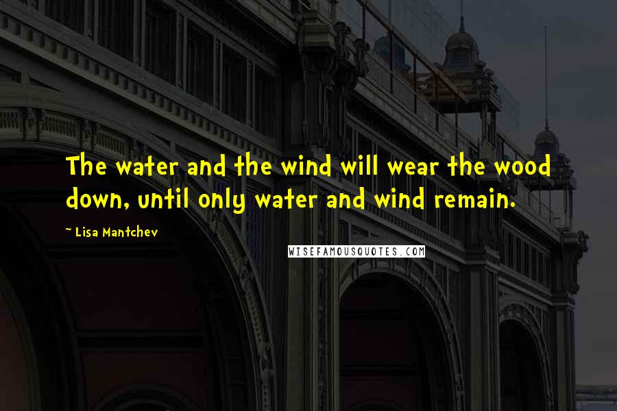 Lisa Mantchev Quotes: The water and the wind will wear the wood down, until only water and wind remain.