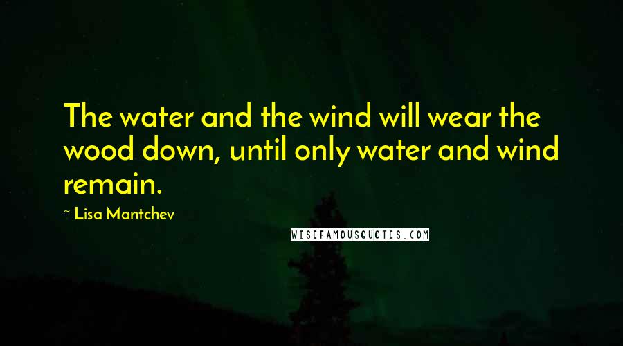 Lisa Mantchev Quotes: The water and the wind will wear the wood down, until only water and wind remain.