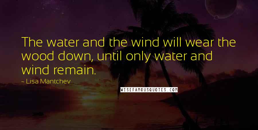 Lisa Mantchev Quotes: The water and the wind will wear the wood down, until only water and wind remain.