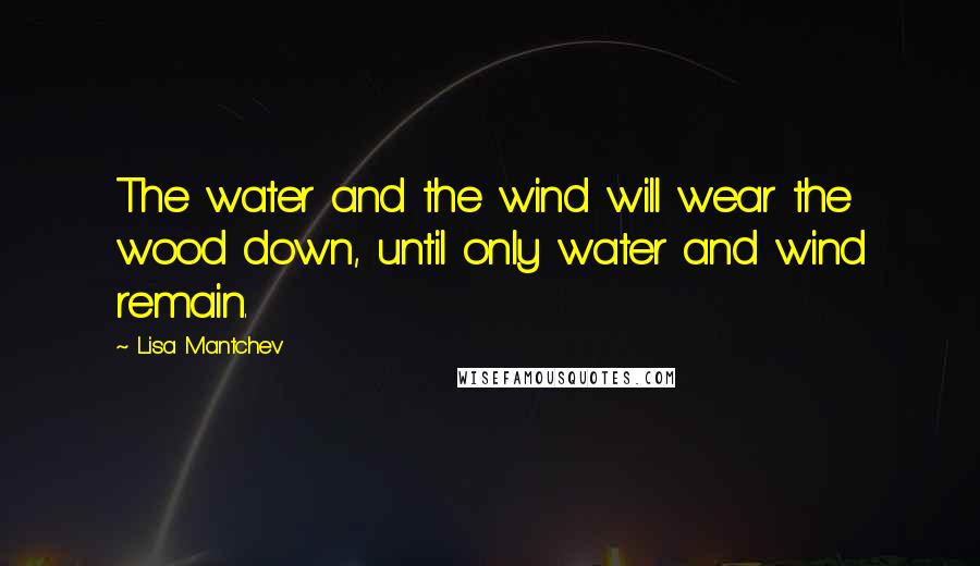 Lisa Mantchev Quotes: The water and the wind will wear the wood down, until only water and wind remain.