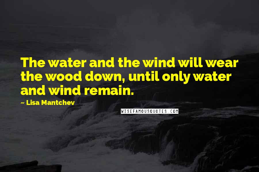 Lisa Mantchev Quotes: The water and the wind will wear the wood down, until only water and wind remain.