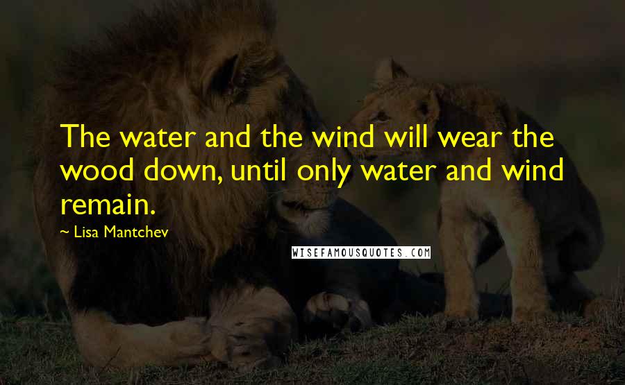 Lisa Mantchev Quotes: The water and the wind will wear the wood down, until only water and wind remain.