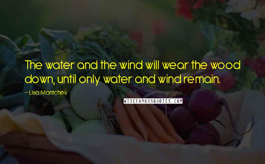 Lisa Mantchev Quotes: The water and the wind will wear the wood down, until only water and wind remain.