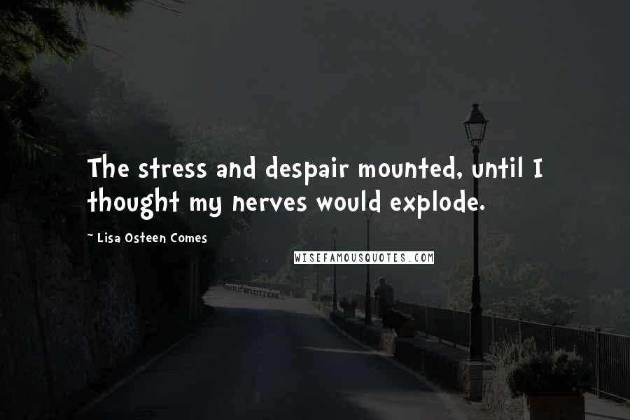 Lisa Osteen Comes Quotes: The stress and despair mounted, until I thought my nerves would explode.