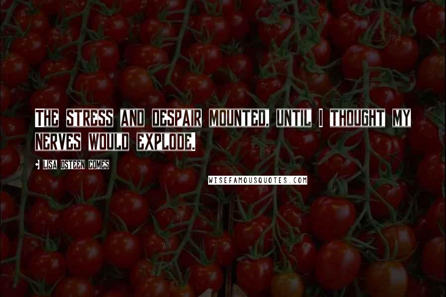 Lisa Osteen Comes Quotes: The stress and despair mounted, until I thought my nerves would explode.