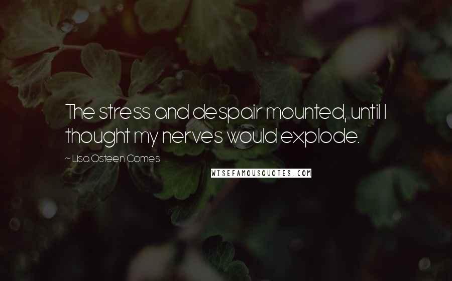 Lisa Osteen Comes Quotes: The stress and despair mounted, until I thought my nerves would explode.