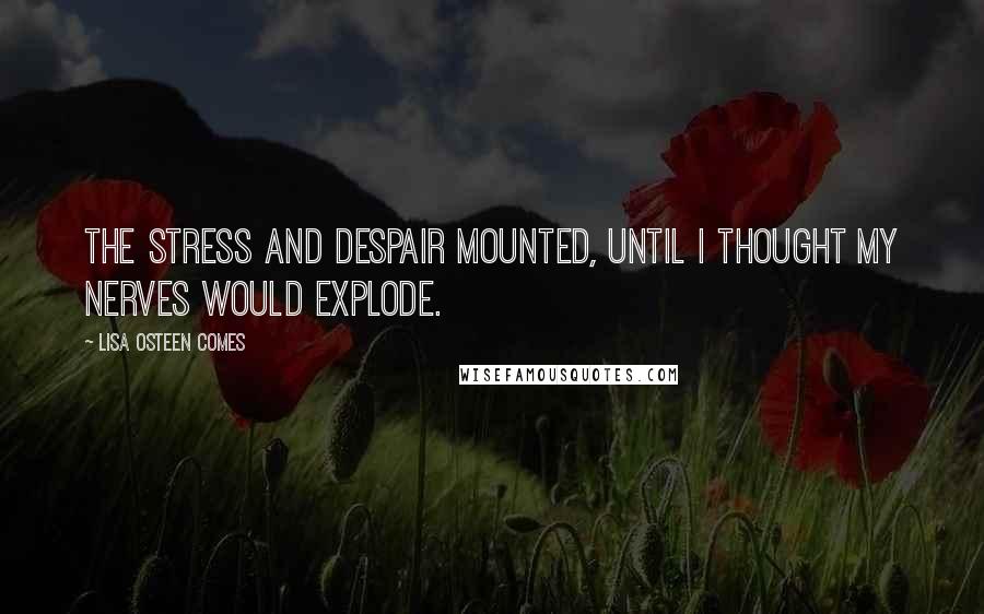 Lisa Osteen Comes Quotes: The stress and despair mounted, until I thought my nerves would explode.