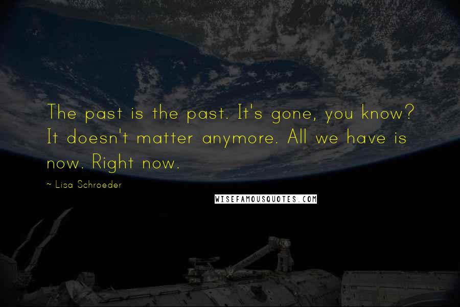 Lisa Schroeder Quotes: The past is the past. It's gone, you know? It doesn't matter anymore. All we have is now. Right now.