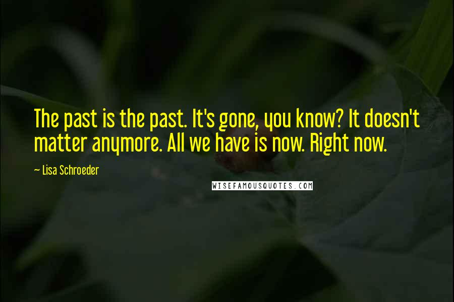 Lisa Schroeder Quotes: The past is the past. It's gone, you know? It doesn't matter anymore. All we have is now. Right now.