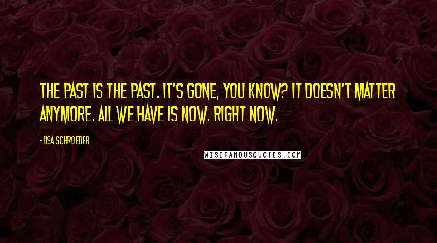 Lisa Schroeder Quotes: The past is the past. It's gone, you know? It doesn't matter anymore. All we have is now. Right now.