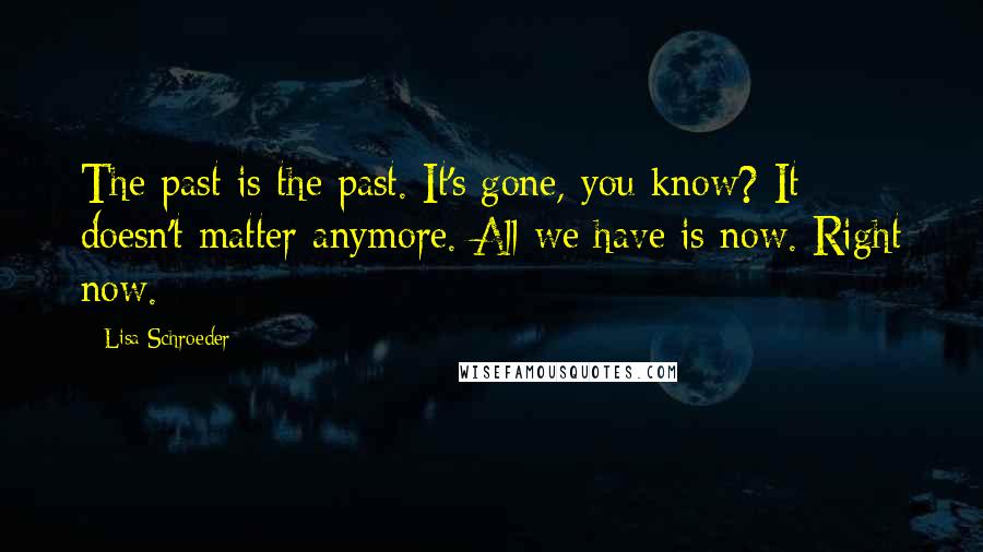 Lisa Schroeder Quotes: The past is the past. It's gone, you know? It doesn't matter anymore. All we have is now. Right now.