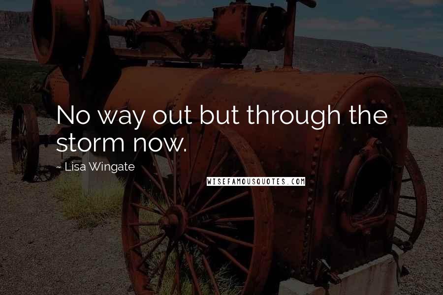 Lisa Wingate Quotes: No way out but through the storm now.