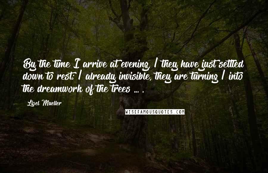 Lisel Mueller Quotes: By the time I arrive at evening, / they have just settled down to rest; / already invisible, they are turning / into the dreamwork of the trees ... .