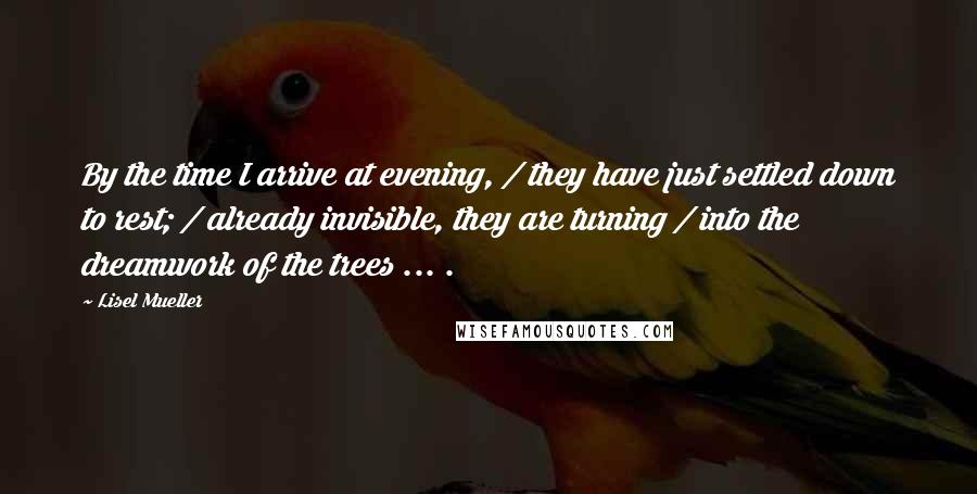 Lisel Mueller Quotes: By the time I arrive at evening, / they have just settled down to rest; / already invisible, they are turning / into the dreamwork of the trees ... .