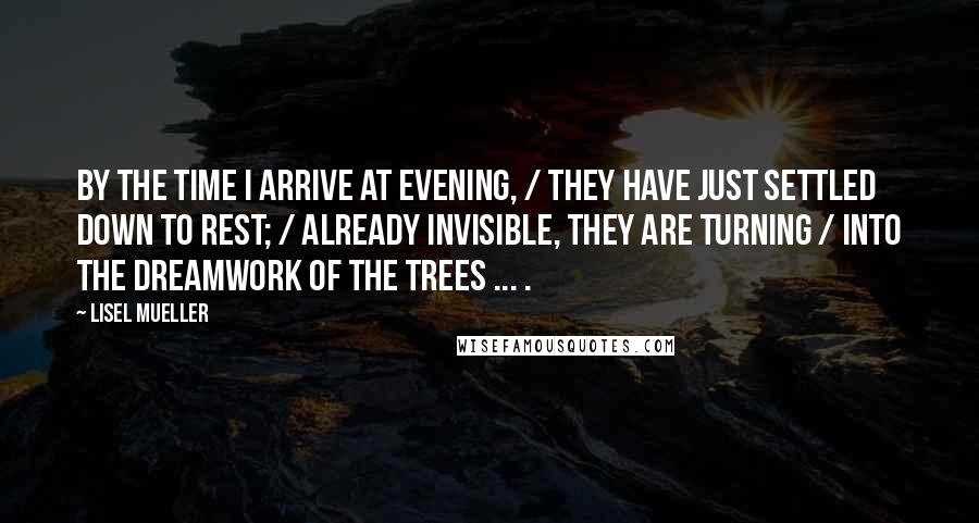 Lisel Mueller Quotes: By the time I arrive at evening, / they have just settled down to rest; / already invisible, they are turning / into the dreamwork of the trees ... .