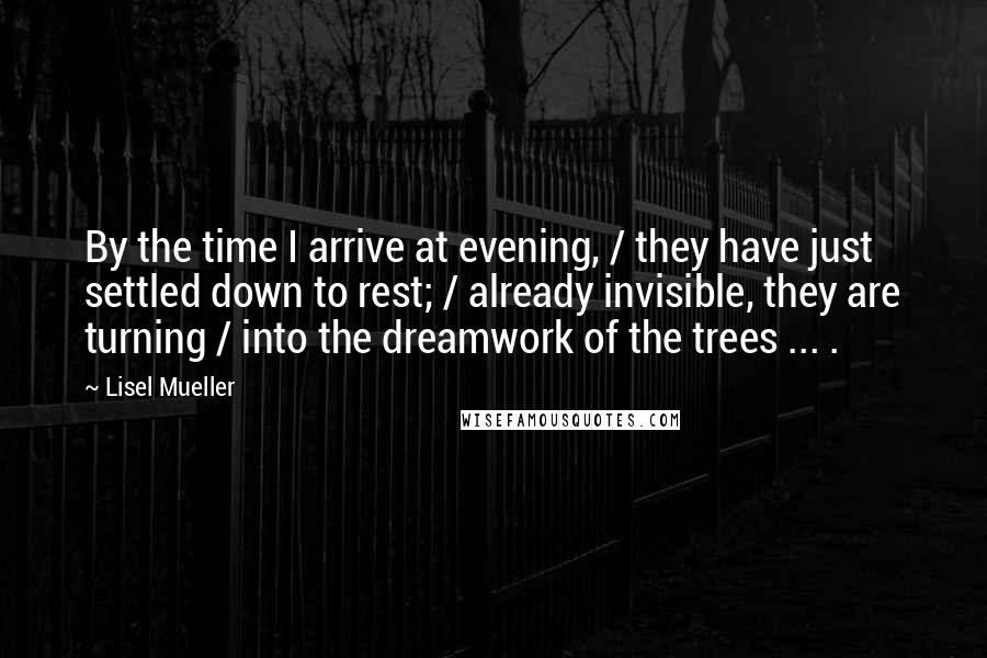 Lisel Mueller Quotes: By the time I arrive at evening, / they have just settled down to rest; / already invisible, they are turning / into the dreamwork of the trees ... .