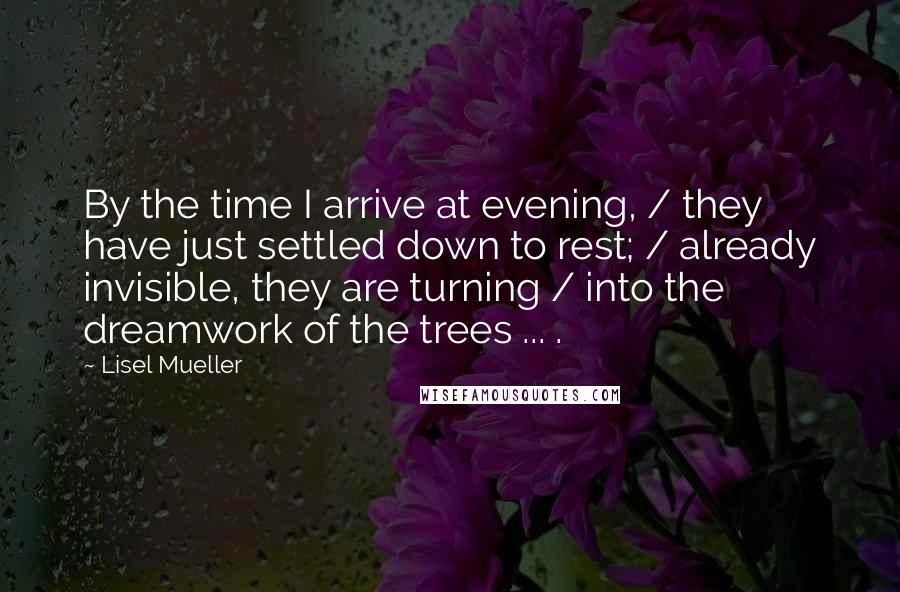 Lisel Mueller Quotes: By the time I arrive at evening, / they have just settled down to rest; / already invisible, they are turning / into the dreamwork of the trees ... .