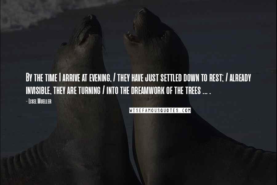 Lisel Mueller Quotes: By the time I arrive at evening, / they have just settled down to rest; / already invisible, they are turning / into the dreamwork of the trees ... .