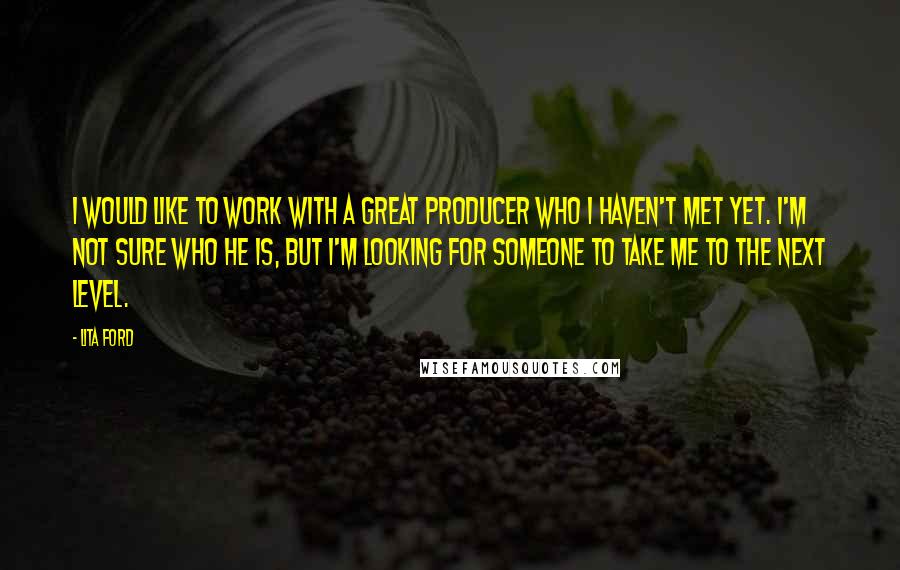 Lita Ford Quotes: I would like to work with a great producer who I haven't met yet. I'm not sure who he is, but I'm looking for someone to take me to the next level.