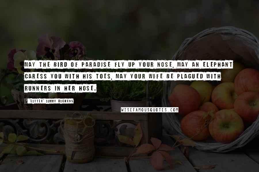 'Little' Jimmy Dickens Quotes: May the bird of paradise fly up your nose, may an elephant caress you with his toes, may your wife be plagued with runners in her hose.