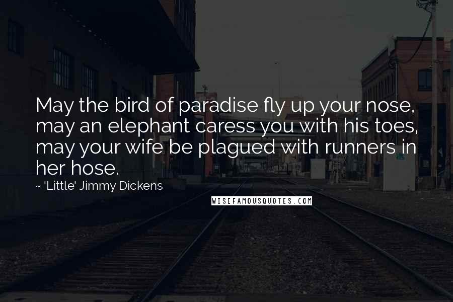 'Little' Jimmy Dickens Quotes: May the bird of paradise fly up your nose, may an elephant caress you with his toes, may your wife be plagued with runners in her hose.