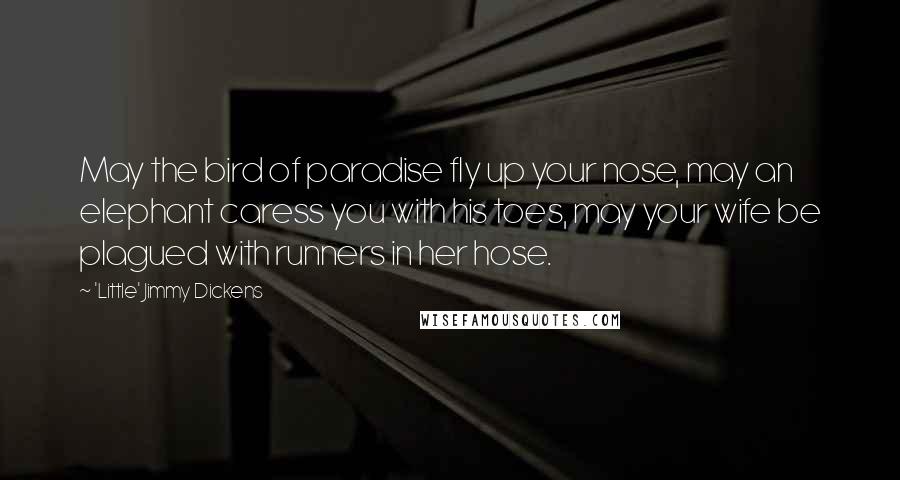 'Little' Jimmy Dickens Quotes: May the bird of paradise fly up your nose, may an elephant caress you with his toes, may your wife be plagued with runners in her hose.