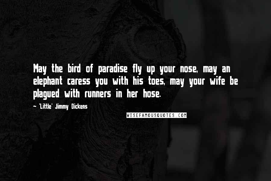 'Little' Jimmy Dickens Quotes: May the bird of paradise fly up your nose, may an elephant caress you with his toes, may your wife be plagued with runners in her hose.