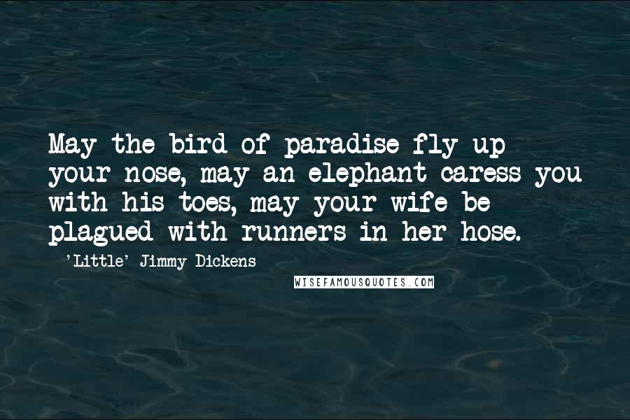 'Little' Jimmy Dickens Quotes: May the bird of paradise fly up your nose, may an elephant caress you with his toes, may your wife be plagued with runners in her hose.