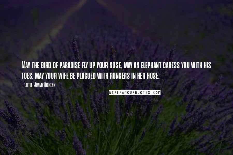'Little' Jimmy Dickens Quotes: May the bird of paradise fly up your nose, may an elephant caress you with his toes, may your wife be plagued with runners in her hose.