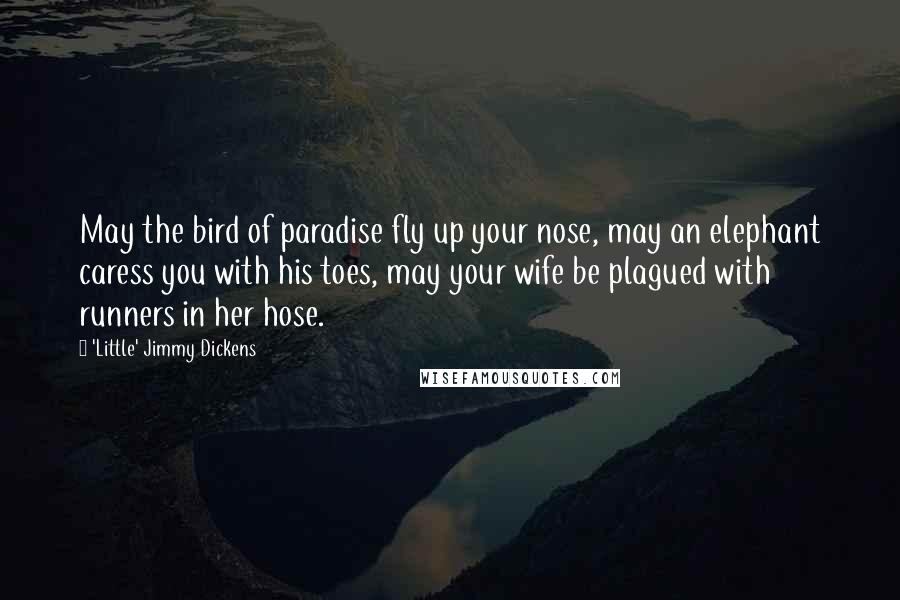 'Little' Jimmy Dickens Quotes: May the bird of paradise fly up your nose, may an elephant caress you with his toes, may your wife be plagued with runners in her hose.