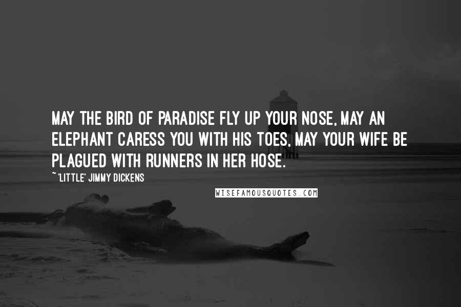 'Little' Jimmy Dickens Quotes: May the bird of paradise fly up your nose, may an elephant caress you with his toes, may your wife be plagued with runners in her hose.