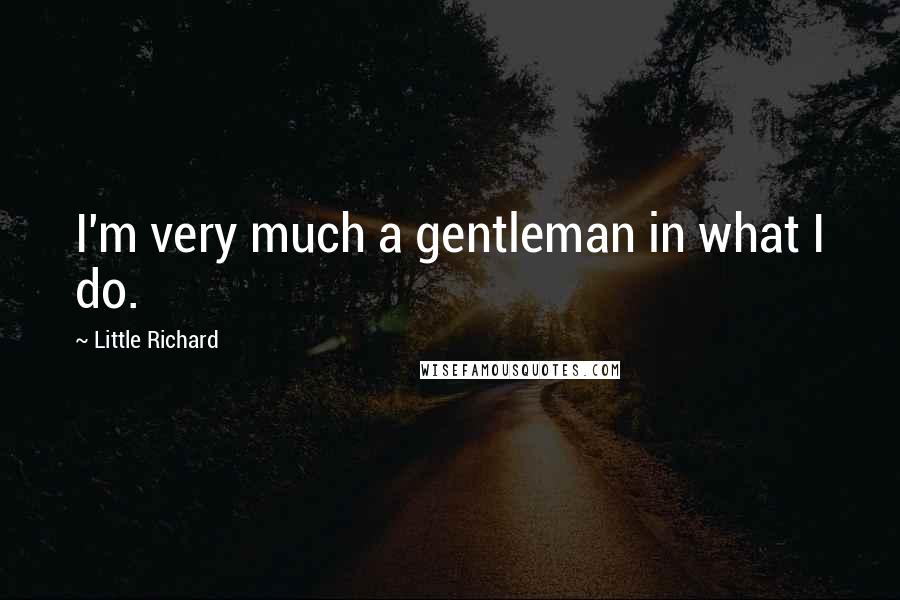 Little Richard Quotes: I'm very much a gentleman in what I do.