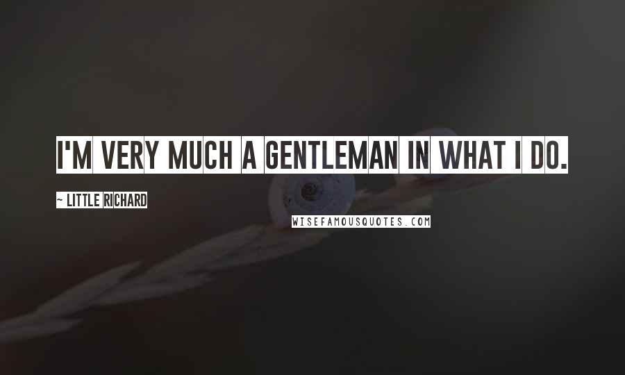 Little Richard Quotes: I'm very much a gentleman in what I do.