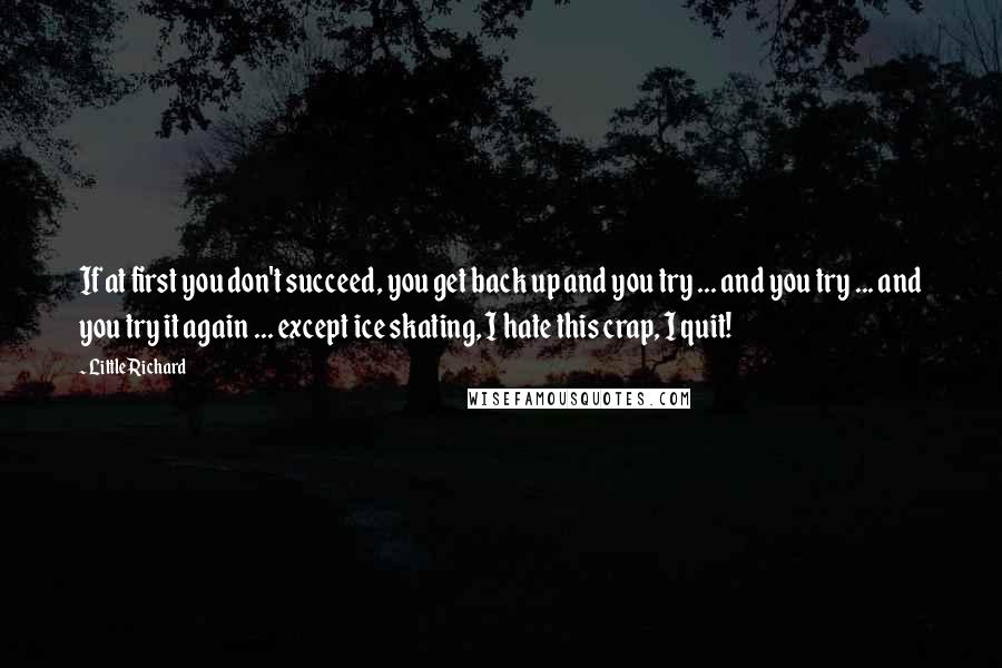 Little Richard Quotes: If at first you don't succeed, you get back up and you try ... and you try ... and you try it again ... except ice skating, I hate this crap, I quit!