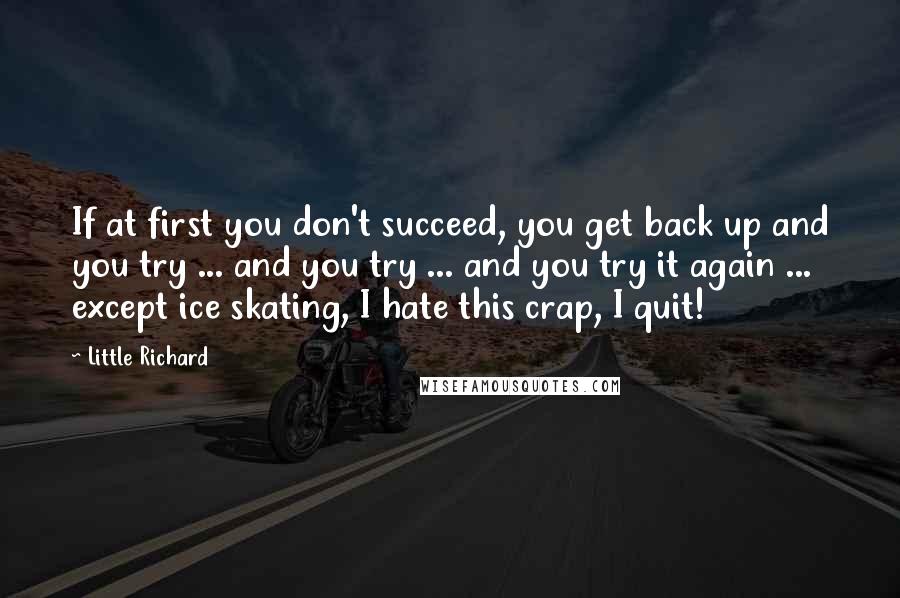 Little Richard Quotes: If at first you don't succeed, you get back up and you try ... and you try ... and you try it again ... except ice skating, I hate this crap, I quit!