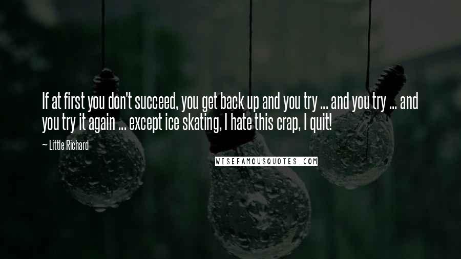 Little Richard Quotes: If at first you don't succeed, you get back up and you try ... and you try ... and you try it again ... except ice skating, I hate this crap, I quit!