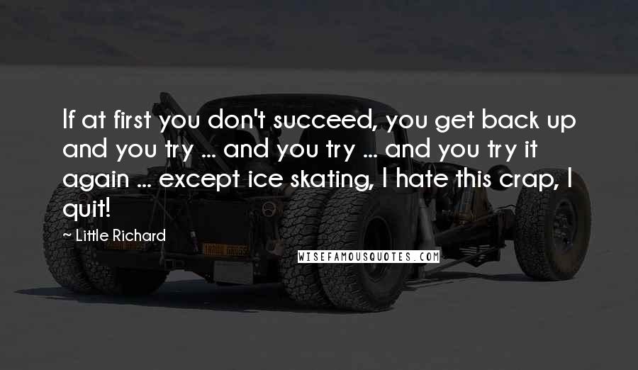 Little Richard Quotes: If at first you don't succeed, you get back up and you try ... and you try ... and you try it again ... except ice skating, I hate this crap, I quit!