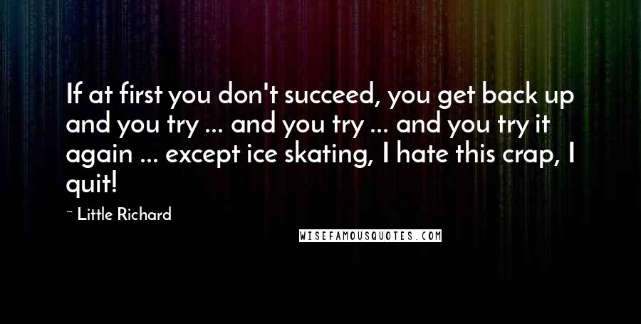 Little Richard Quotes: If at first you don't succeed, you get back up and you try ... and you try ... and you try it again ... except ice skating, I hate this crap, I quit!