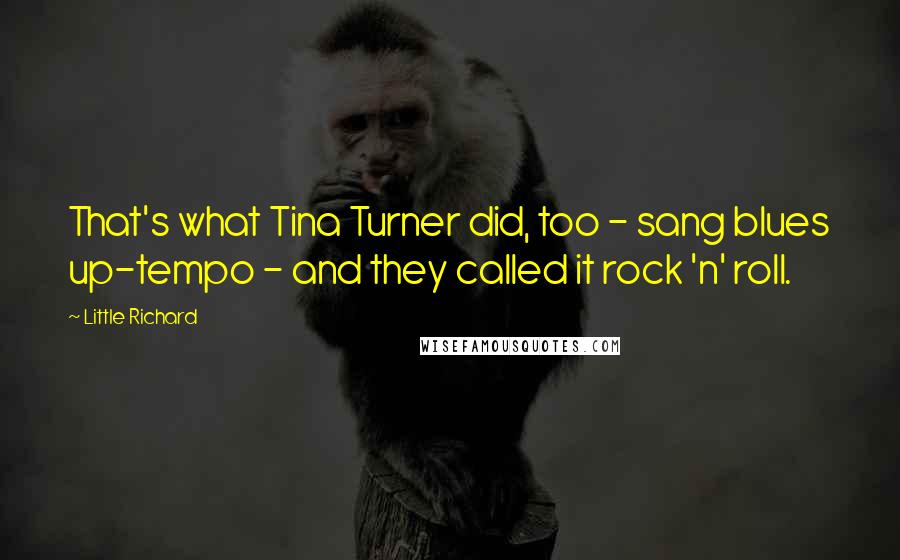 Little Richard Quotes: That's what Tina Turner did, too - sang blues up-tempo - and they called it rock 'n' roll.